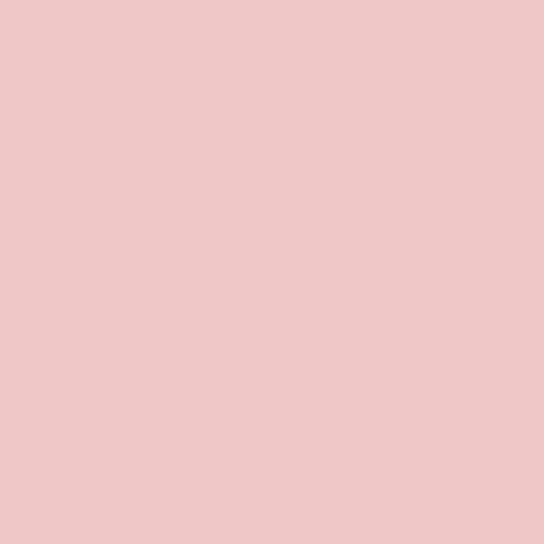 The BPGP Quilt Pattern Quilt Kit COTTON CANDY