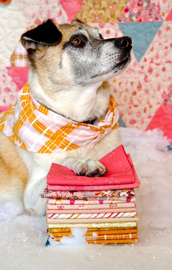 Adventale by Katarina Roccella for AGF 16 Fat Quarter Bundle