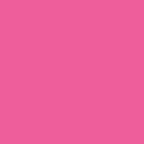 The BPGP Quilt Pattern Quilt Kit FESTIVAL FUSCHIA