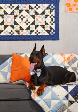 The Cur8tor - Modernista by Art Gallery Fabrics 8 Fat Quarter Bundle