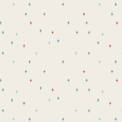 Fabric Wonders 16 FQs from Sparkle Elements by AGF Studio for AGF